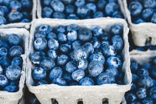 Unlocking the Secrets of Organic Multivitamin for Optimal Health - Only Multivitamins