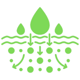 ENHANCED ABSORPTION B COMPLEX LIPOSOMAL METHL VITAMINS