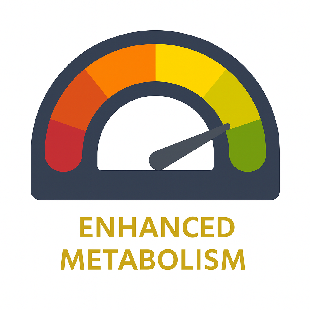 increase metabolism and energy with METHL'S methylated multivitamin exclusively from only multivitamin
