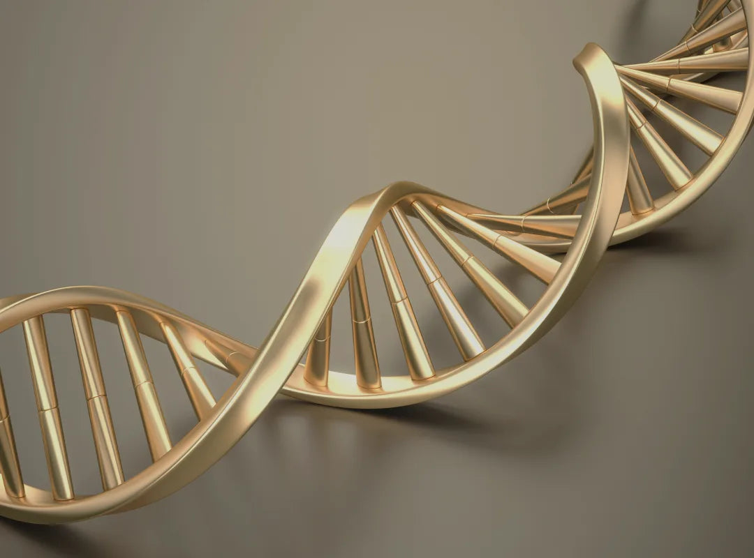 Only Multivitamin METHL brand lifestyle image showcasing methylated supplement quality