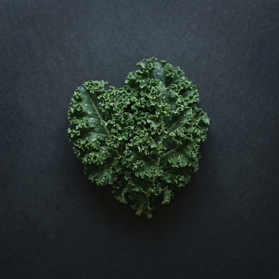 Kale — top vitamin K1 source — METHL