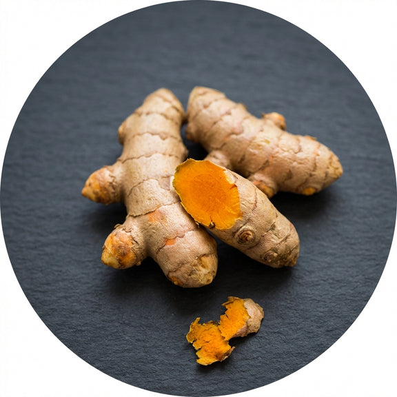 Fresh turmeric root — curcumin source — METHL
