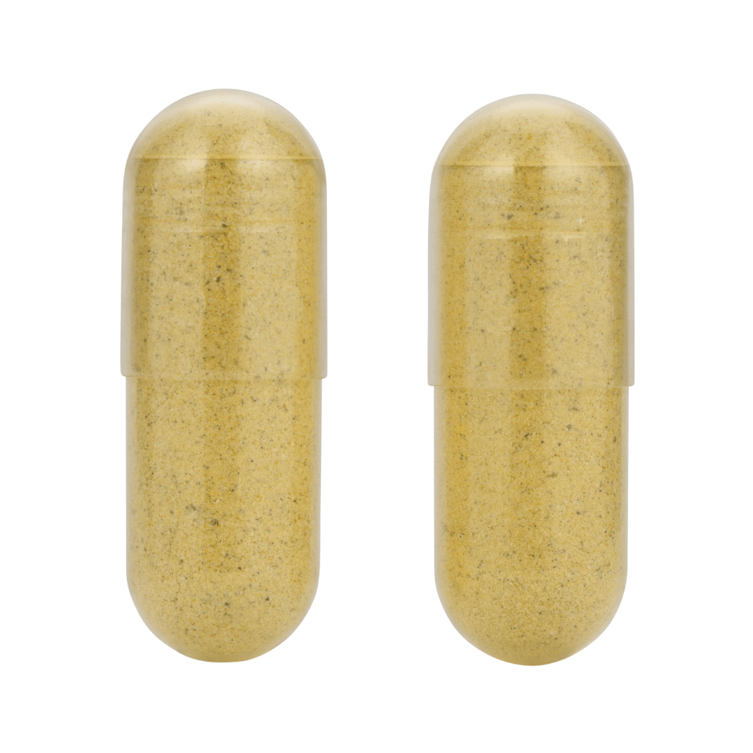 METHYL Methylated Multivitamin - Enhanced Absorption for MTHFR & Vitality Support multivitamin METHL Only Multivitamins